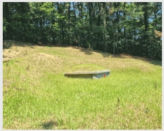  2025Ÿ��1294  �Ӿ߰��