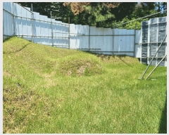  2025Ÿ��1294  �Ӿ߰��