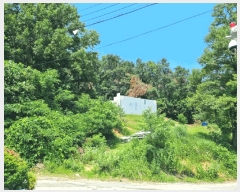  2025Ÿ��1294  �Ӿ߰��