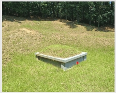  2025Ÿ��1294  �Ӿ߰��