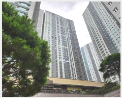  2025Ÿ��1512  ���ǽ��ڰ��