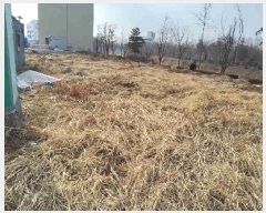  2025Ÿ��52259 ��� ������ �Ǽ��� �Ǽ��� 1345-33      ����(����)���