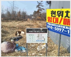  2025Ÿ��52259 ��� ������ �Ǽ��� �Ǽ��� 1345-33      ����(����)���