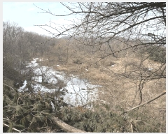  2025Ÿ��54387 ��� ���ν� ó�α� ������ �ֺϸ� ��177-17     ����(�Ӿ�)���