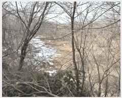  2025Ÿ��54387 ��� ���ν� ó�α� ������ �ֺϸ� ��177-17     ����(�Ӿ�)���