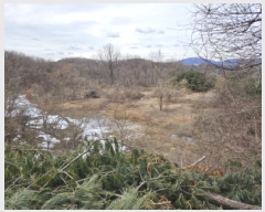  2025Ÿ��54387 ��� ���ν� ó�α� ������ �ֺϸ� ��177-17     ����(�Ӿ�)���