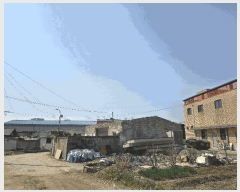  2025Ÿ��55318 ��� ���ν� ���ﱸ ���ŵ� 464-9      ����(����)���