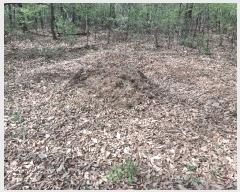  2025Ÿ��55332 ��� ȭ���� ��ź�� ���ϸ� ��56-42      ����(�Ӿ�)���