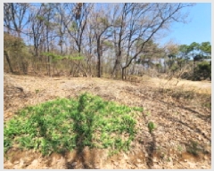  2025Ÿ��55332 ��� ȭ���� ��ź�� ���ϸ� ��56-42      ����(�Ӿ�)���