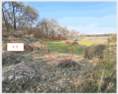  2025Ÿ��55361 ��� ȭ���� ������ �� 320      ����(��1)���