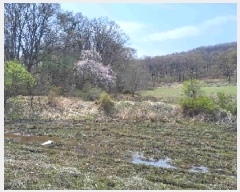  2025Ÿ��55361 ��� ȭ���� ������ �� 320      ����(��1)���