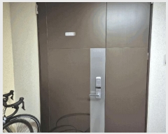  2025Ÿ��55580  ����Ʈ���