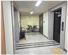  2025Ÿ��55580  ����Ʈ���