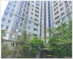  2025Ÿ��55580  ����Ʈ���