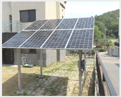  2025Ÿ��55863 ��� ���ν� ó�α� ������ �Ż긮 613-9     ���ð��