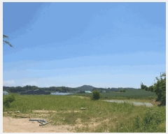  2025Ÿ��56172 ��� ȭ���� ��ȸ� ���Ǹ� ��22-7      ����(�Ӿ�)���