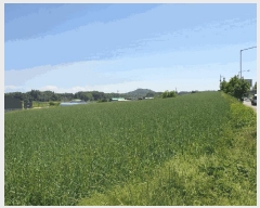  2025Ÿ��56172 ��� ȭ���� ��ȸ� ���Ǹ� ��22-7      ����(�Ӿ�)���