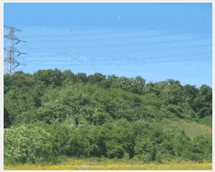  2025Ÿ��56172 ��� ȭ���� ��ȸ� ���Ǹ� ��22-7      ����(�Ӿ�)���