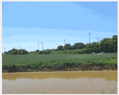  2025Ÿ��56172 ��� ȭ���� ��ȸ� ���Ǹ� ��22-7      ����(�Ӿ�)���