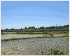  2025Ÿ��56172 ��� ȭ���� ��ȸ� ���Ǹ� ��22-7      ����(�Ӿ�)���