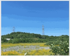  2025Ÿ��56172 ��� ȭ���� ��ȸ� ���Ǹ� ��22-7      ����(�Ӿ�)���