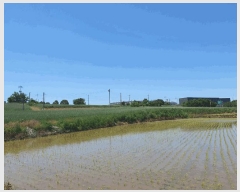  2025Ÿ��56172 ��� ȭ���� ��ȸ� ���Ǹ� ��22-7      ����(�Ӿ�)���