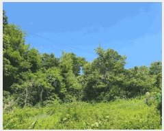  2025Ÿ��56172 ��� ȭ���� ��ȸ� ���Ǹ� ��22-7      ����(�Ӿ�)���