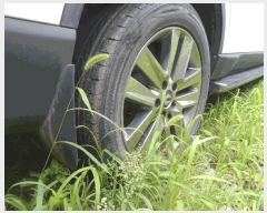  2025Ÿ56562  ν ﱸ 430 28-25()      