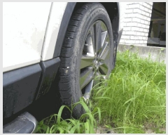  2025Ÿ56562  ν ﱸ 430 28-25()      