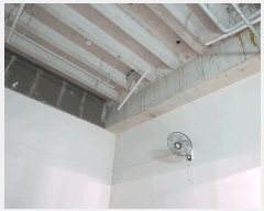  2025Ÿ��57247  ����Ʈ��������