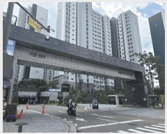  2025Ÿ��57313  ����Ʈ���