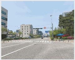  2025Ÿ1103  ν ﱸ 󼭵 455 ̾ĳＭõ 1150ȣ    ,繫ǰ