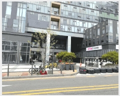  2025Ÿ1104  ν ﱸ 󼭵 455 ̾ĳＭõ 1154ȣ    ,繫ǰ