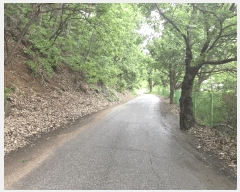  2025Ÿ��1175 ��� ���ν� ó�α� ������ ��븮 638-2     ����(�Ӿ�)���