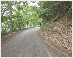  2025Ÿ��1175 ��� ���ν� ó�α� ������ ��븮 638-2     ����(�Ӿ�)���