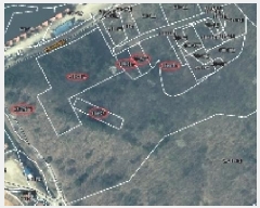  2025Ÿ��1175 ��� ���ν� ó�α� ������ ��븮 638-2     ����(�Ӿ�)���