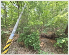  2025Ÿ��1175 ��� ���ν� ó�α� ������ ��븮 638-2     ����(�Ӿ�)���