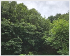  2025Ÿ��1242 ��� ���ν� ó�α� ������ �۹��� ��33-103     ����(�Ӿ�)���