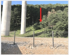  2025Ÿ��1242 ��� ���ν� ó�α� ������ �۹��� ��33-103     ����(�Ӿ�)���