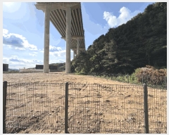  2025Ÿ��1242 ��� ���ν� ó�α� ������ �۹��� ��33-103     ����(�Ӿ�)���