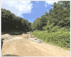  2025Ÿ��1242 ��� ���ν� ó�α� ������ �۹��� ��33-103     ����(�Ӿ�)���