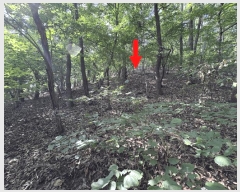  2025Ÿ��1242 ��� ���ν� ó�α� ������ �۹��� ��33-103     ����(�Ӿ�)���