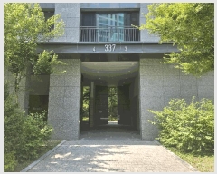  2025Ÿ��1295  �ٸ��󰡰��