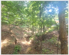  2025Ÿ��1464 ��� ���ν� ���ﱸ ������ 450-135      ����(�Ӿ�)���