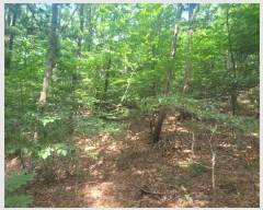  2025Ÿ��1464 ��� ���ν� ���ﱸ ������ 450-135      ����(�Ӿ�)���