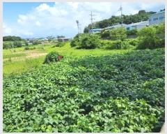  2025Ÿ��1592 ��� ȭ���� ��ȸ� ���Ǹ� 505-3      ����(��1)���