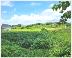  2025Ÿ��1592 ��� ȭ���� ��ȸ� ���Ǹ� 505-3      ����(��1)���