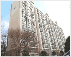  2025Ÿ55006   Ǽ Ǽ 1235 žȾƮ 307 9901ȣ   Ʈ