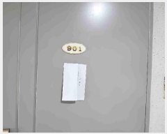  2025Ÿ55006   Ǽ Ǽ 1235 žȾƮ 307 9901ȣ   Ʈ