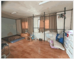  2025Ÿ��55272  ������